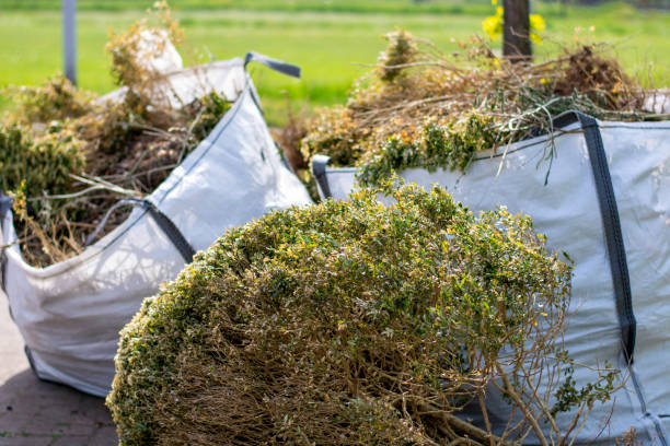 Best Construction Debris Removal  in Hamilton City, CA